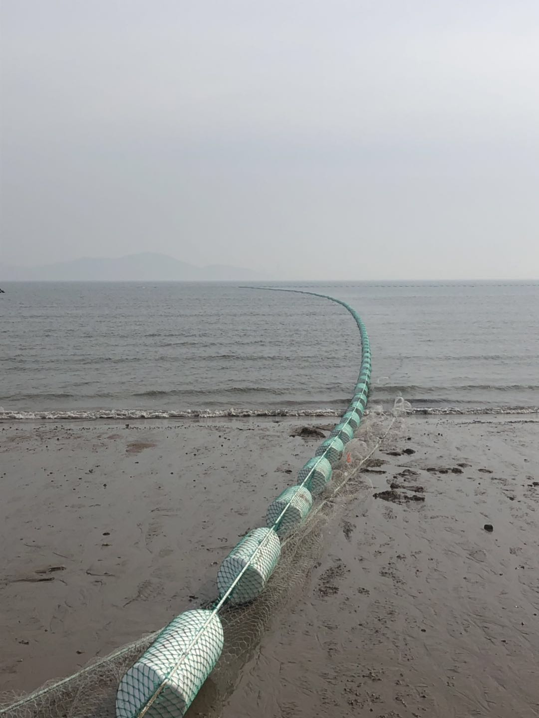 第一海水浴场顺利通过验收  成为2019年青岛首家开放的浴场(图2)